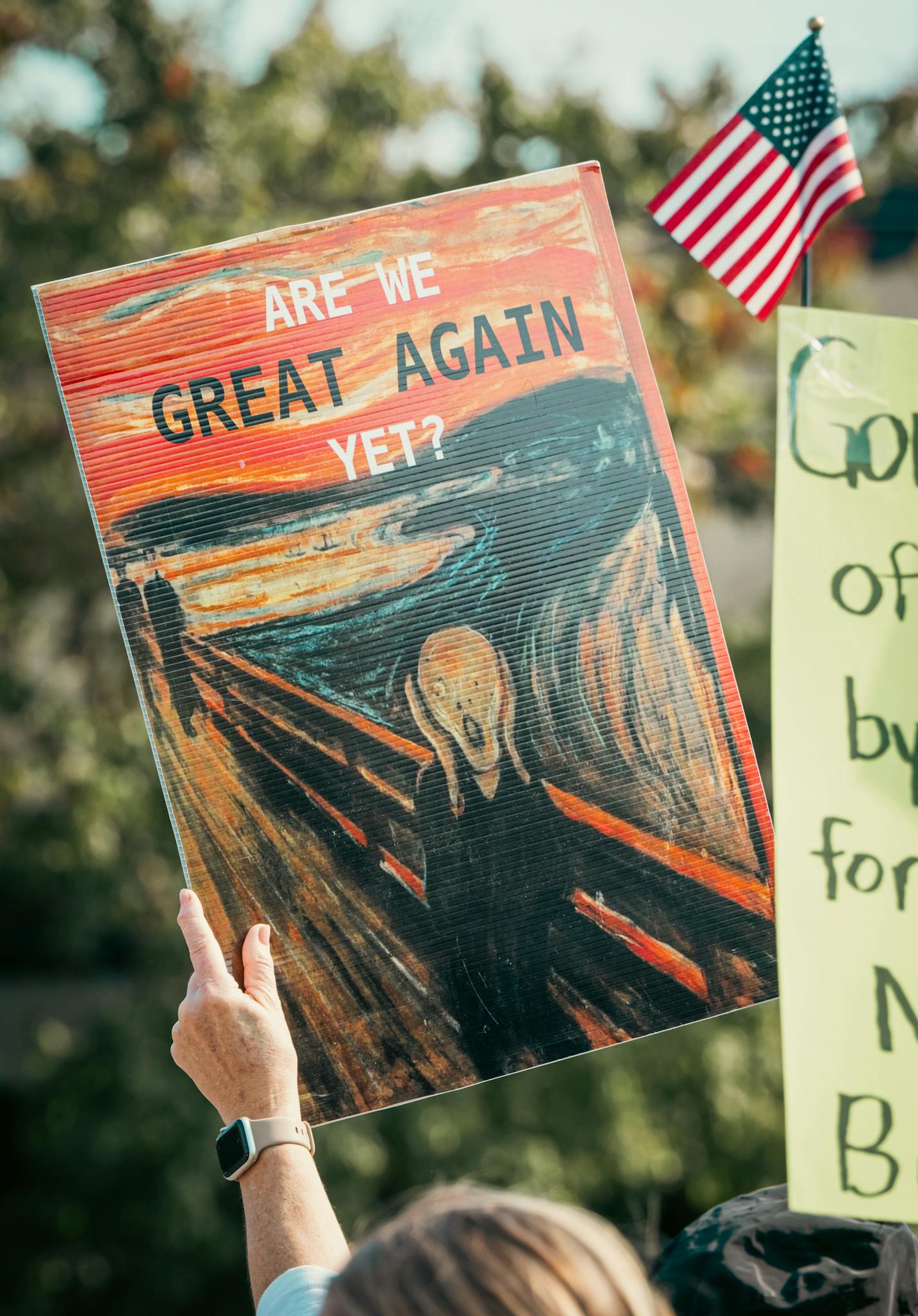 A protester holds a sign referencing a famous painting at an outdoor demonstration.
